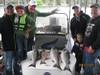 (05/31/2015) - Nice Striped Bass